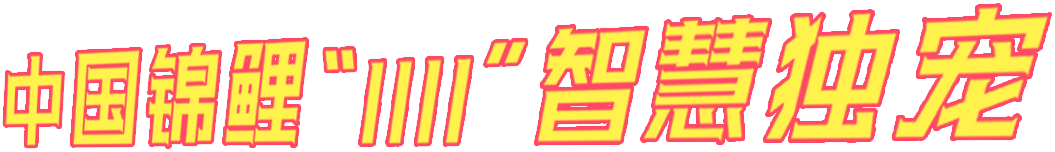 �Ї��\����1111���ǻ۪���